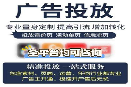 SEM推广实战：案例解析与策略探讨